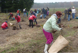 Baumpflanzungen "Bürger für Bäume 2015"