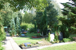 Westfriedhof - Gräber
