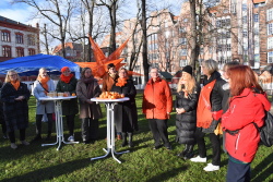 Orange Day Rostock (Foto 4)