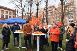 Orange Day Rostock (Foto 8)