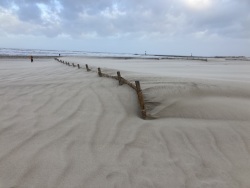 Zugewehter Sandfangzaun am Strand in Warnemünde.