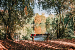 Teich am Fischerdorf 