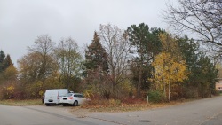 Bild vergrößern