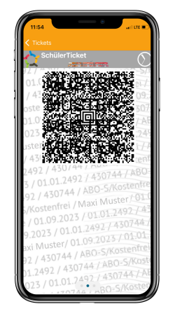 Ansicht SchülerTicket Online