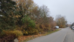 Bild vergrößern