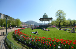 Musikpavillon im Stadtzentrum