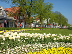 Grünanlage 'Am Strom' Warnemünde