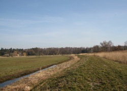 Bewachsener Pilotdeich aus Baggergut am Körkwitzer Bach