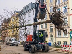 Bagger transportiert einen Baum durch die Fritz-Reuter-Straße.