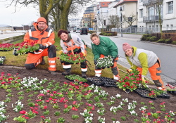 Frühjahrsbepflanzung 2023