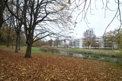 Kringelgraben