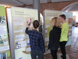 Ausstellung 