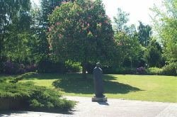 Aschestreuwiese Westfriedhof Rostock