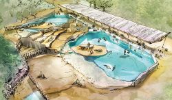 Entwurf aus der Projektstudie zum Neubau der Robbenanlage im Zoo Rostock