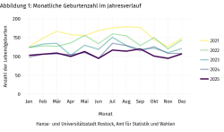 Monatliche Geburtenzahl im Jahresverlauf (2021 bis 2025)