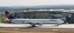 Bild vergrößern