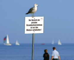 Bild vergrößern