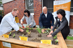 Einweihung der Hochbeete am Hospiz, Klinikum Südstadt Rostock 