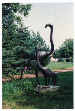 Flamingo und Kranich