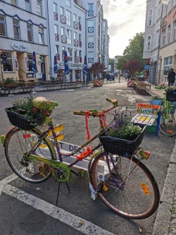 Bild vergrößern