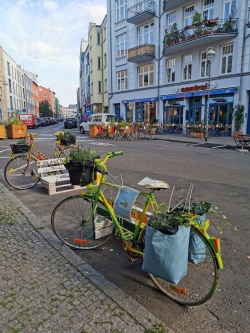 Bild vergrößern