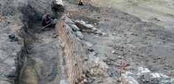 Intakte, den Hang heruntergerutschte Backsteinmauer an der Rückseite des Grundstücks An der Hege 9