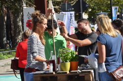 Klima-Aktionstag 2019