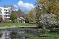 Kringelgrabenpark