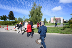 Bild vergrößern