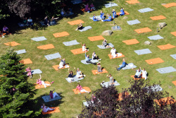 Blick vom Klinikdach auf die Picknickwiese - dort nahmen Patienten, ihre Besucher und auch Mitarbeiter erstmals gemeinsam Platz.