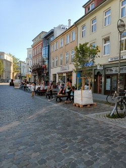 Bild vergrößern