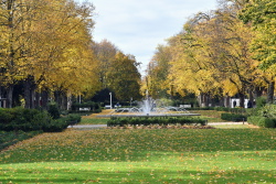 Rosengarten