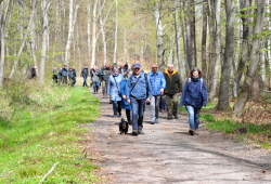 Waldwanderung in der Rostocker Heide.