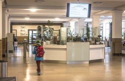 Bild vergrößern
