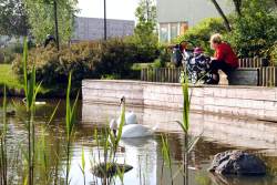 Bild vergrößern