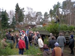 Weihnachtsbaumverkauf in der Rostocker Heide
