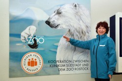 Eisbär Plakat