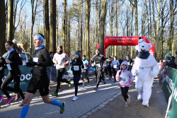 Läuferinnen und Läufer bei Sonnenschein im Barnstorfer Wald