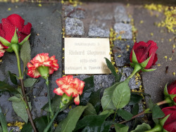 Ein neuer Denkstein für „Richard Siegmann“: Erinnerung an einen großen Vordenker Rostocks