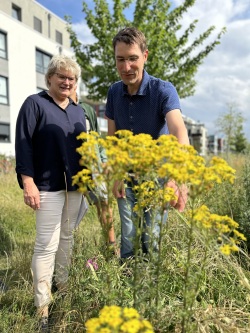Grünamtsleiterin Renate Behrmann und Joachim Springer vom NABU auf der Blühwiese an der Bahnhofstraße.