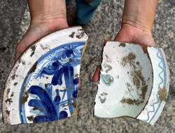 Fayence-Scherben Stralsunder und Stettiner Herkunft aus der Barockzeit. Dabei handelt es sich um glasierte Tonware. 