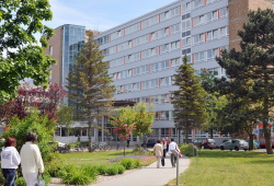 Bild vergrößern
