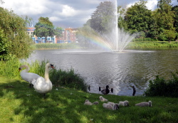 Schwanenteichpark