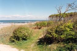 Strand vor Markgrafenheide