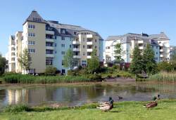 Bild vergrößern