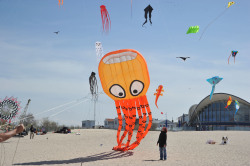 Drachen am Strand von Warnemünde
