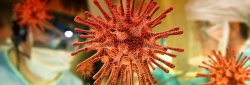 Coronavirus SARS-CoV-2