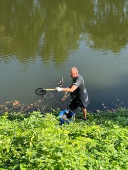 Bild vergrößern