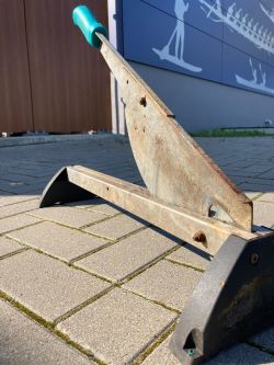Bild vergrößern