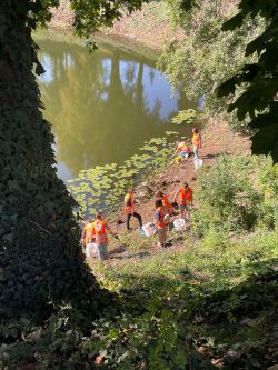 Bild vergrößern